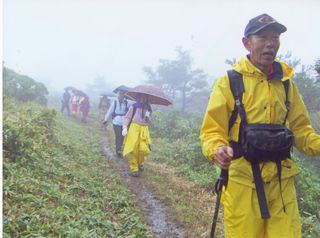 ������T��