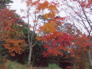 �g�t�^������