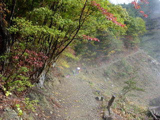 �g�t�̒���o��