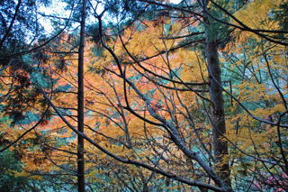 ���N�Ō�̍g�t�����