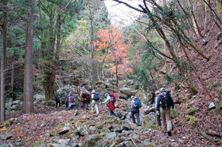 �J�����̓�