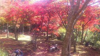 笠置寺もみじ公園