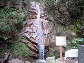 �����m��