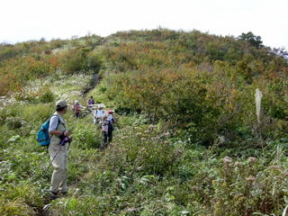 �R������̉���