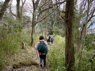 �Ԃ̎��ւ̉���