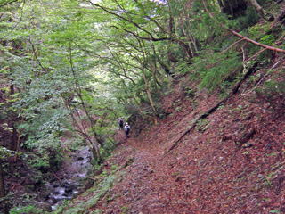 �V���[�g�J�b�g���蓹