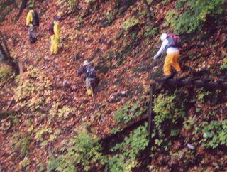 �}�Ζʂ̉���