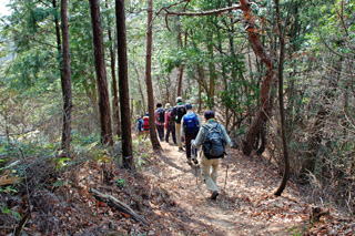 �����̓����炩�������̓���