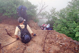 ���x����̉���