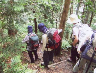 �ԗΌ����ւ̓�