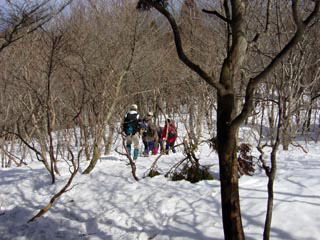 ��̃u�i�т̒������R