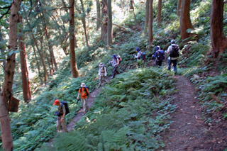 ���t�g���̓�