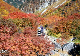 ���򂩂牺��