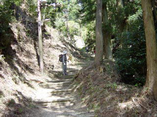 �R������̉���