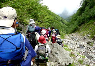 �M��̉���