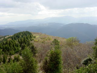 �R������̉���