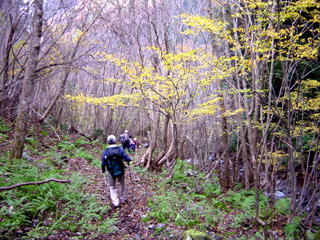 �ɓ��V���̉���