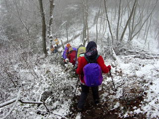 ����Ղ�����