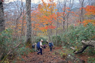 �X�m�z�R�[�X�̂Ԃ�