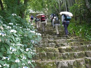 �K�����Q��