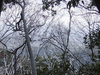 ��̖ؗ��z���ɋ��s�̊X