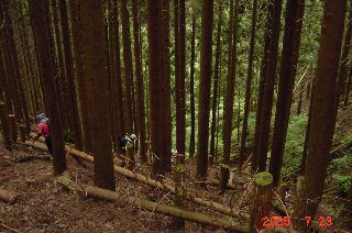 �}��̉���