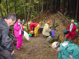 �J�̒��x�e