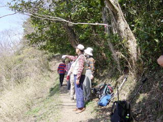 �����ł����Ղ�