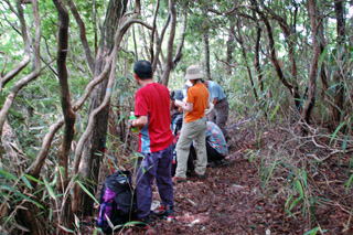 �V���N�i�Q�̃g���l���ŋx�e