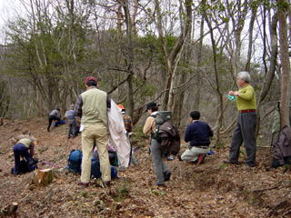 �����؂ňꑧ