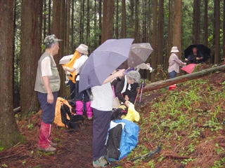 �J�̒��̋x�e