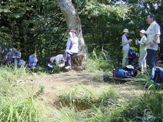 �v�w���W�]��