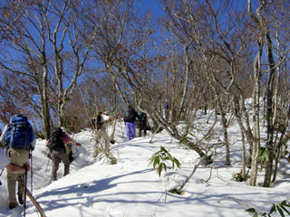 �R����O�̋}�o