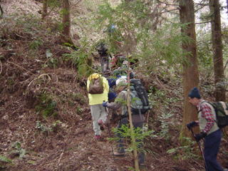 �o��n�߂̋}�o