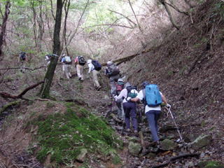 �����J�̋}�o