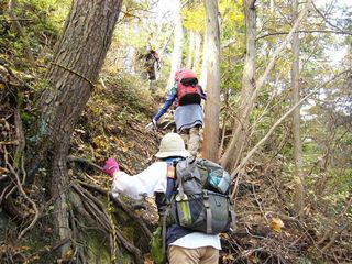 �}�o�̘A��