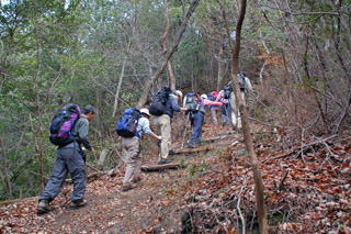 �}�o�̂��������̓�