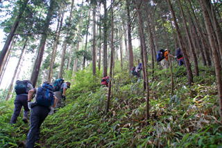 ����R�ւ̋}�o