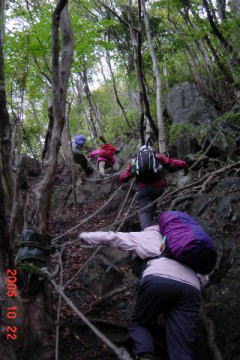 �J�̋}�o���s��