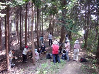 �J���琁�������������x�e