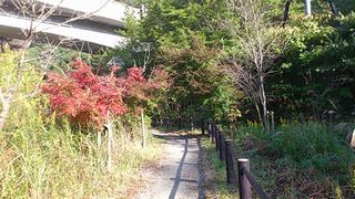 旧菊水駅
