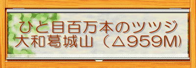 �ЂƖڕS���{�̃c�c�W
��a����R�i��959M)