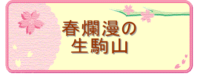 tࣖ
R