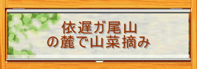 依遅ガ尾山
の麓で山菜摘み