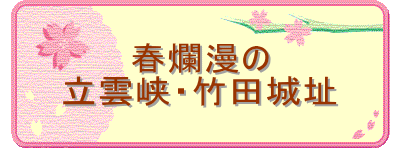 tࣖ
_E|c隬