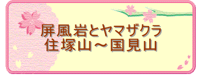 ƃ}UN
ZˎR`R
