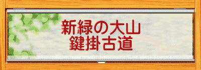 新緑の大山 鍵掛古道