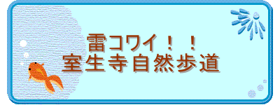 RCII
R