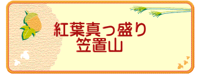 紅葉真っ盛り 笠置山