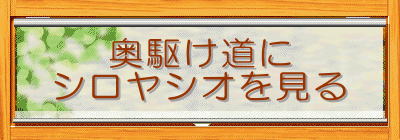 ���삯����
�V�����V�I������